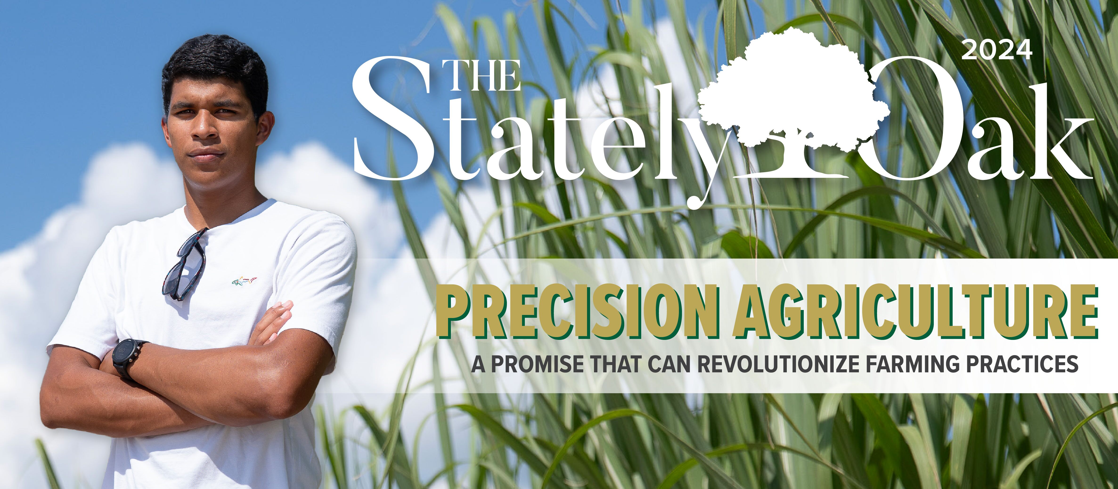 The Stately Oak Magazine Cover