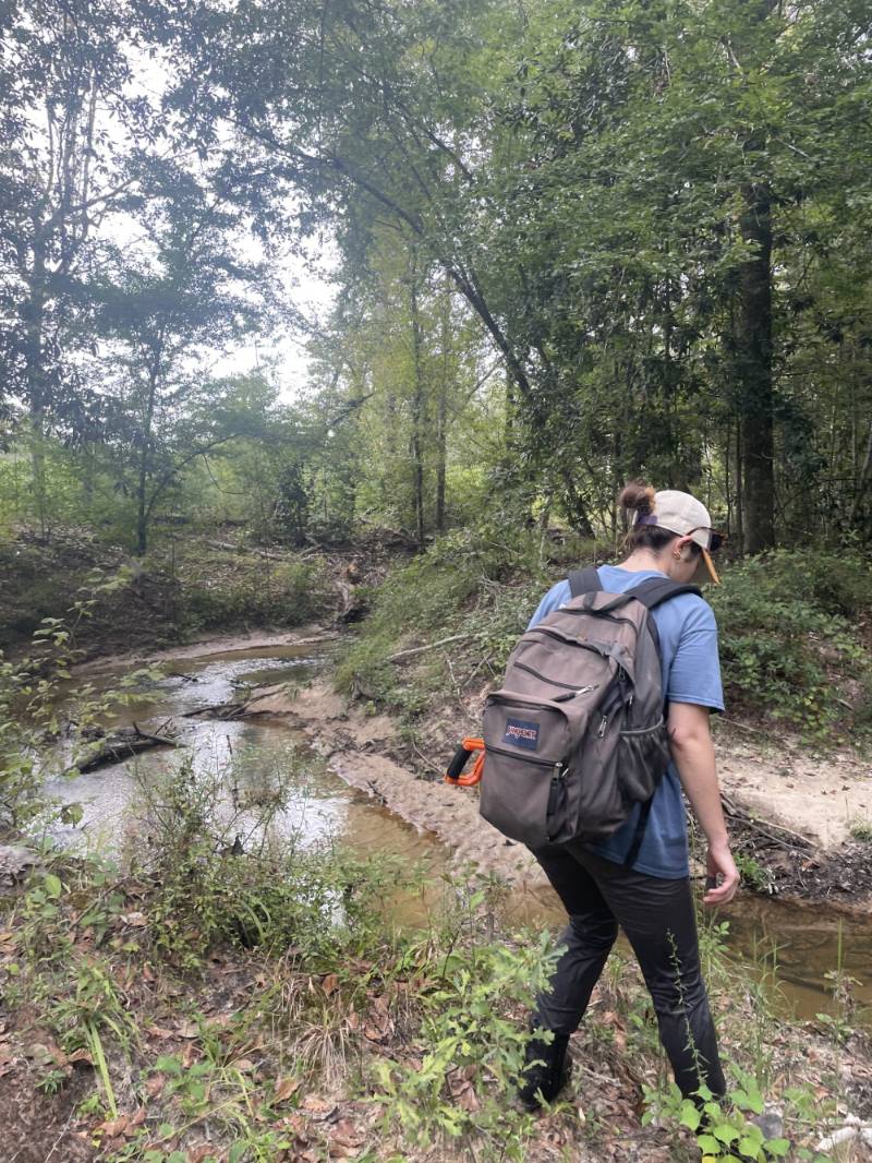 Undergraduate stream research