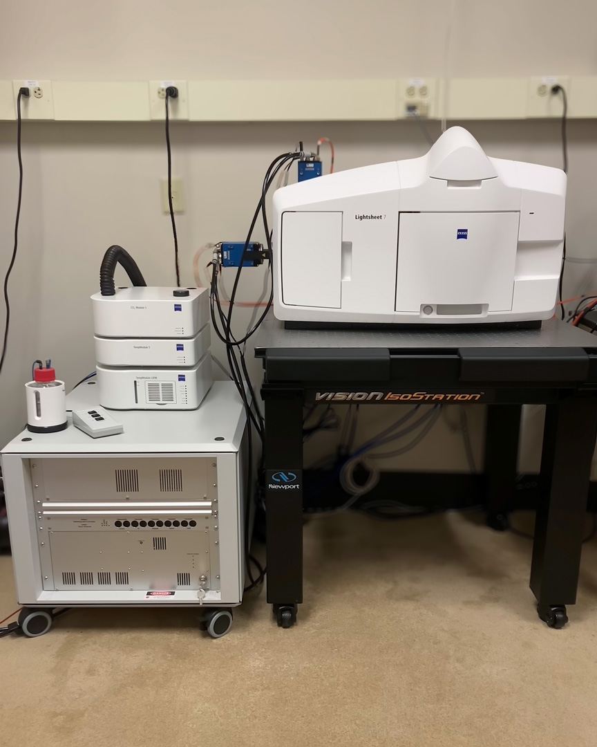 Zeiss Lightsheet Microscope