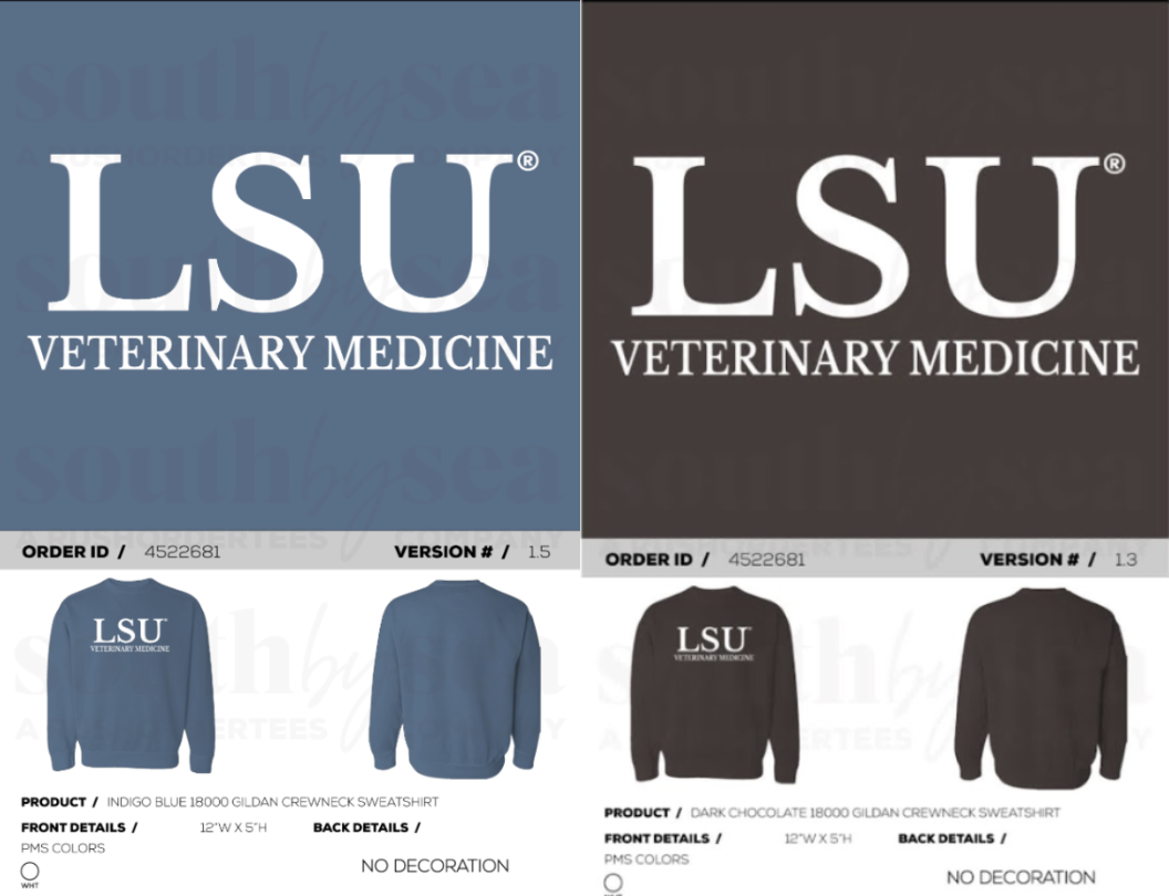 Class of 2027 crewneck flyer